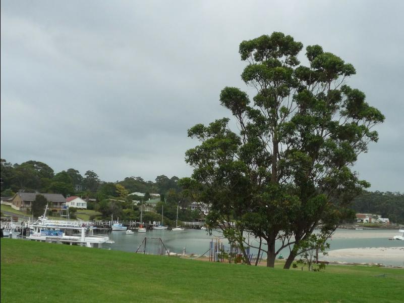 Jervis_Bay_Trip10