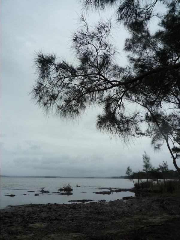 Jervis_Bay_Trip17