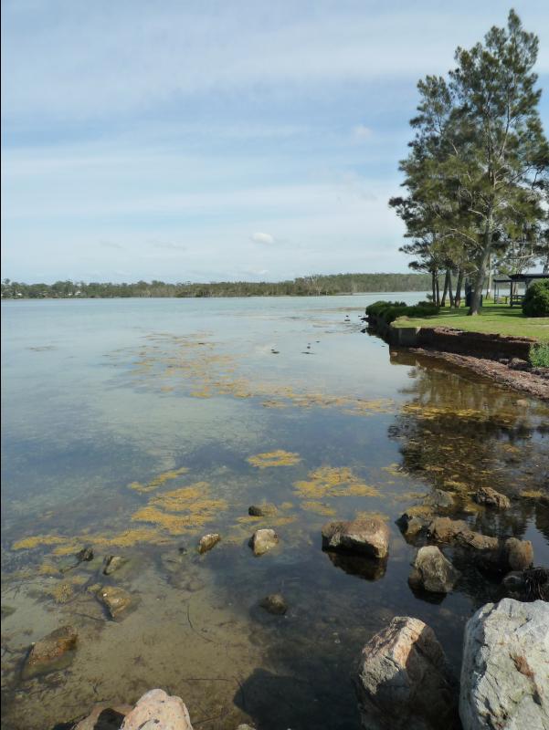 Jervis_Bay_Trip47