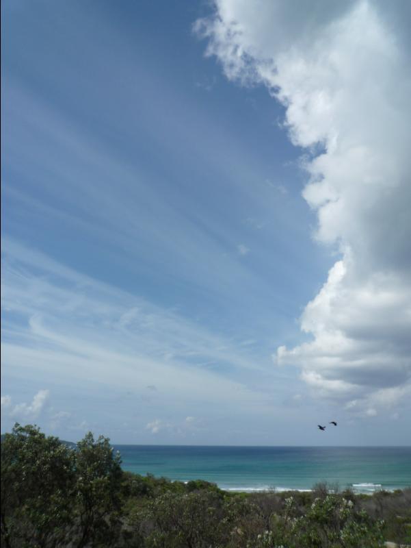 Jervis_Bay_Trip72