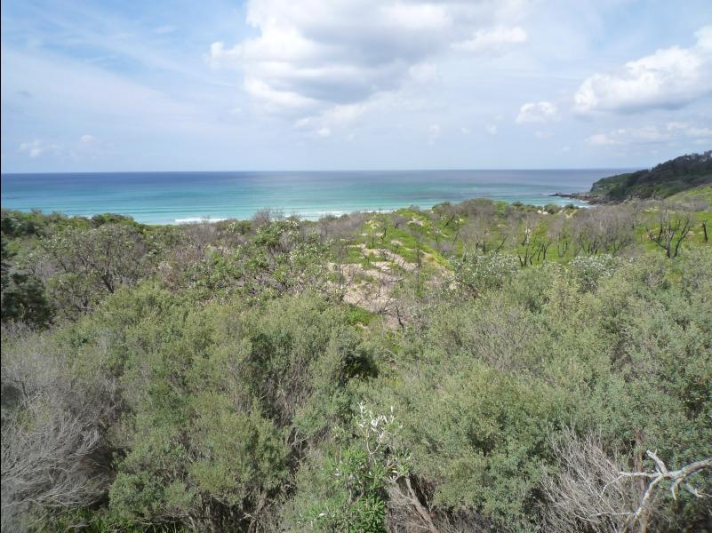 Jervis_Bay_Trip73