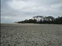 Jervis_Bay_Trip09