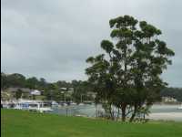 Jervis_Bay_Trip10
