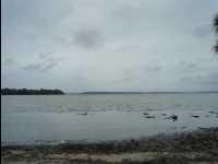 Jervis_Bay_Trip15