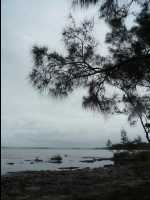 Jervis_Bay_Trip17