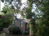 Jervis_Bay_Trip46