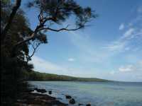 Jervis_Bay_Trip58