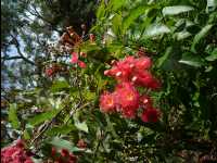 Jervis_Bay_Trip61