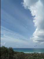 Jervis_Bay_Trip72