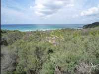 Jervis_Bay_Trip73