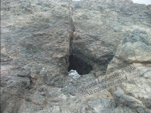 BlowHole01