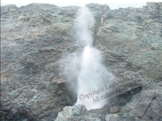 BlowHole10