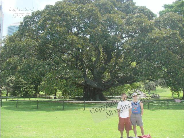 BotanicalGarden02