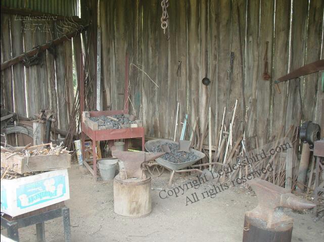 FaganGarden11