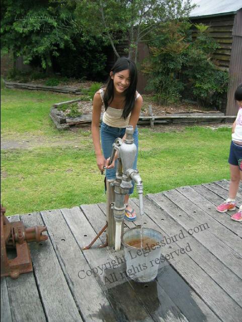 FaganGarden20