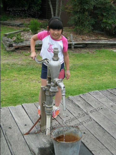 FaganGarden21