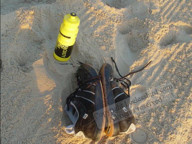 ManlyBeach06