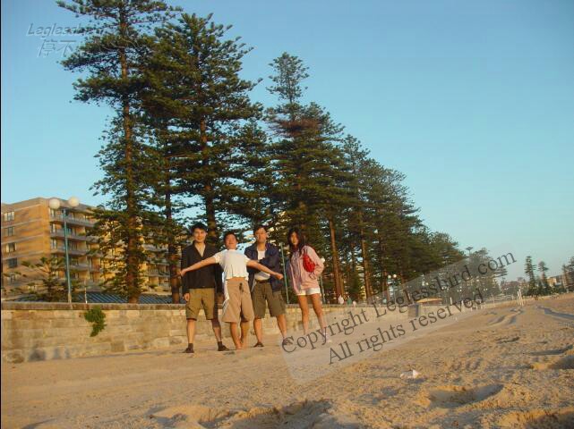 ManlyBeach08