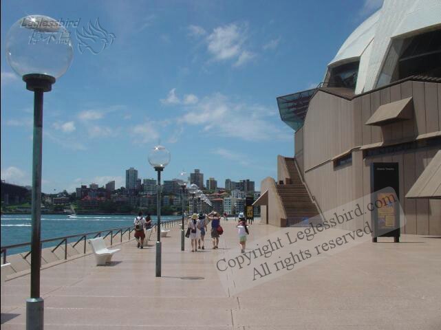 Sydney16