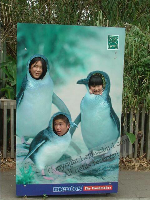 TarongaZoo26