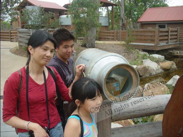 TarongaZoo29