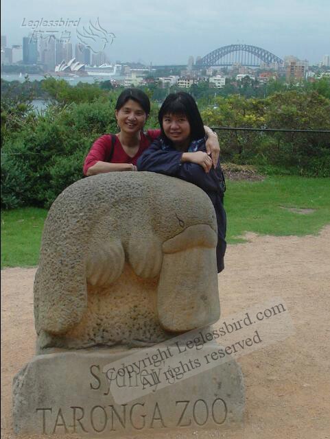 TarongaZoo34