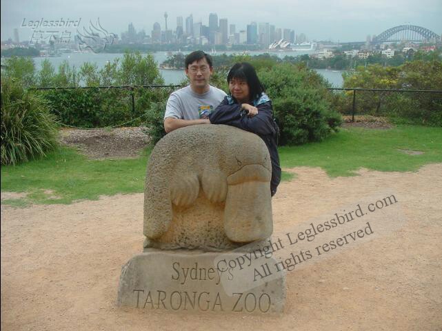TarongaZoo36