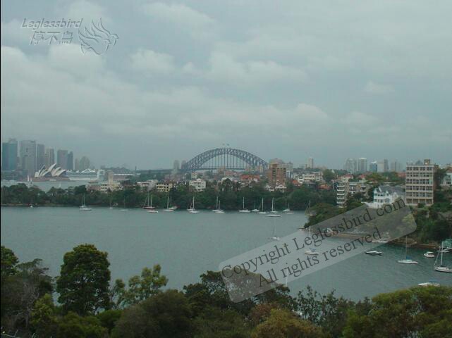 TarongaZoo38