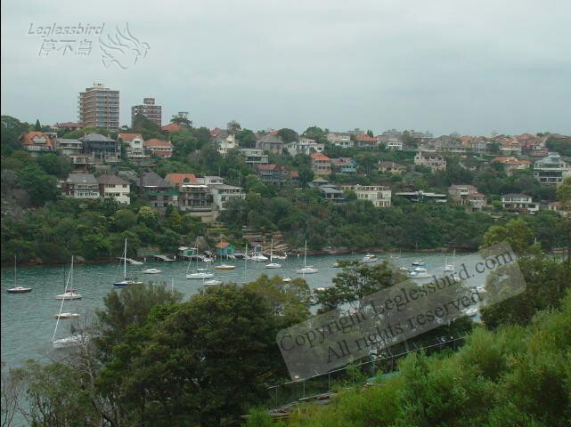 TarongaZoo39