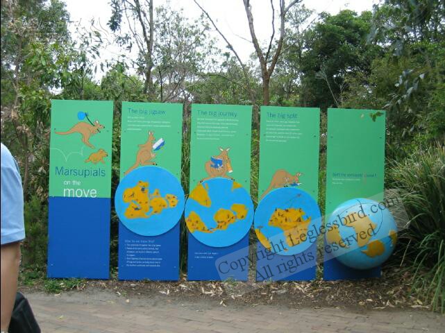TarongaZoo42