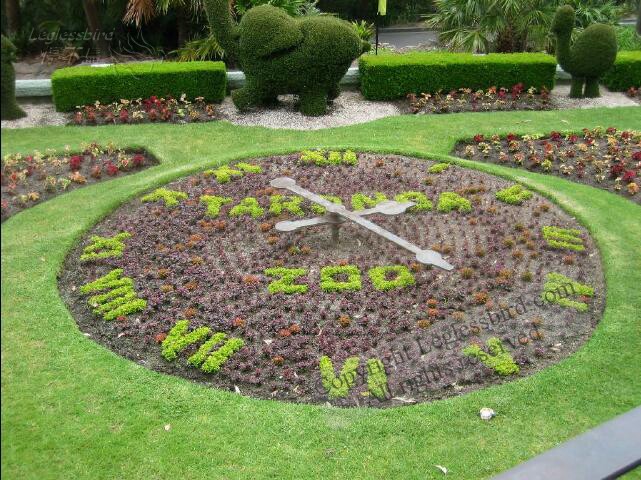 TarongaZoo44
