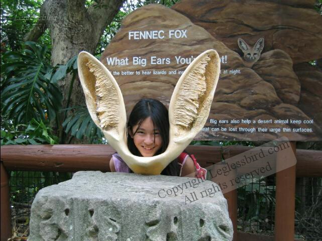 TarongaZoo56