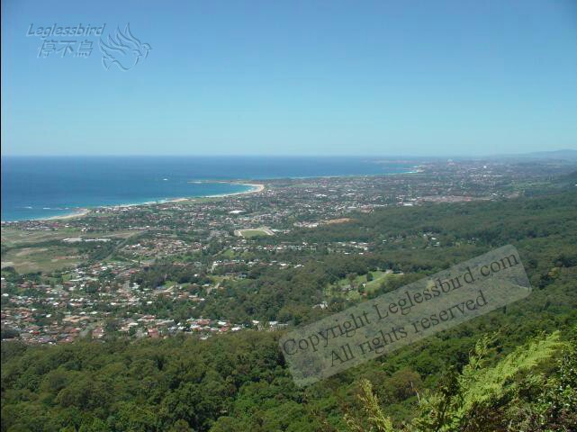 Wollongon2
