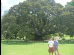 BotanicalGarden02