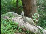 BradleysHead02