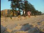 ManlyBeach07