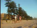 ManlyBeach08