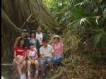 MinnamurraRainforest05