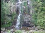 MinnamurraRainforest14