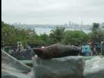 TarongaZoo18
