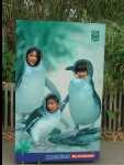 TarongaZoo26