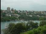 TarongaZoo39