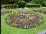 TarongaZoo44
