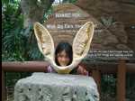 TarongaZoo56