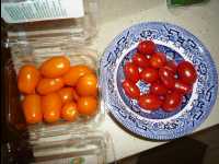 Bibiana's_House03