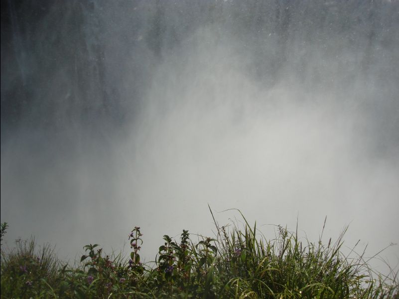 Iguazu_Waterfall034