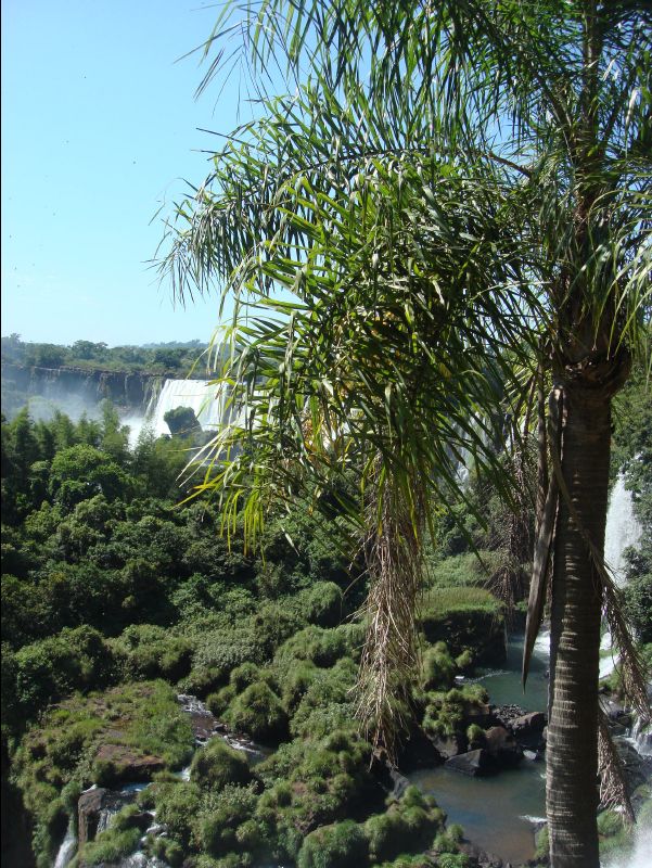 Iguazu_Waterfall043