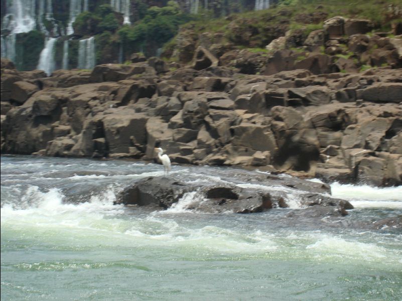 Iguazu_Waterfall069