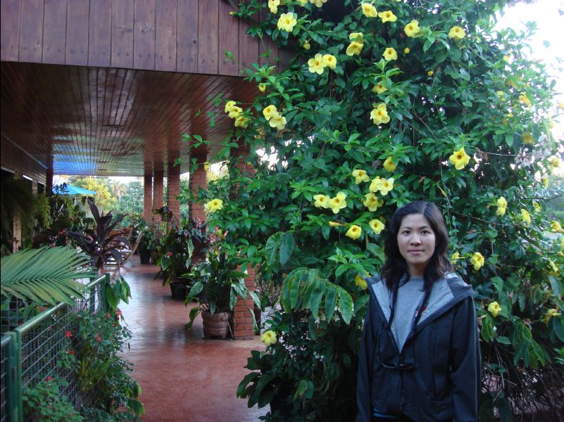 Orquideas_Palace_Hotel09