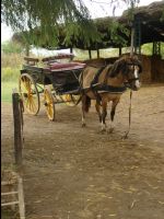 Estancia_La_Cinacina031
